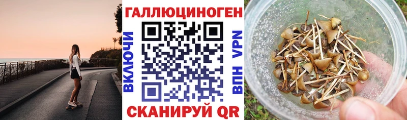Псилоцибиновые грибы мухоморы Сусуман